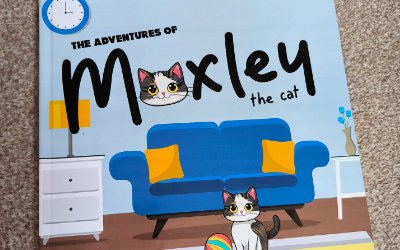Moxley project preview