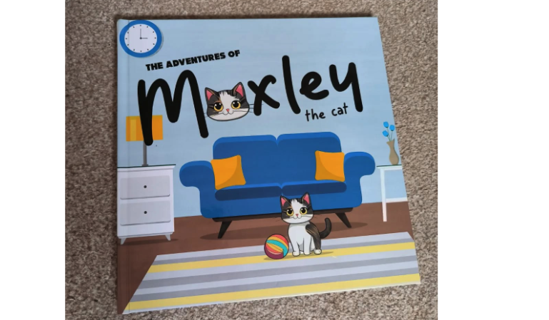 image of the hardback book